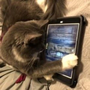 Meet your Posher, Alison